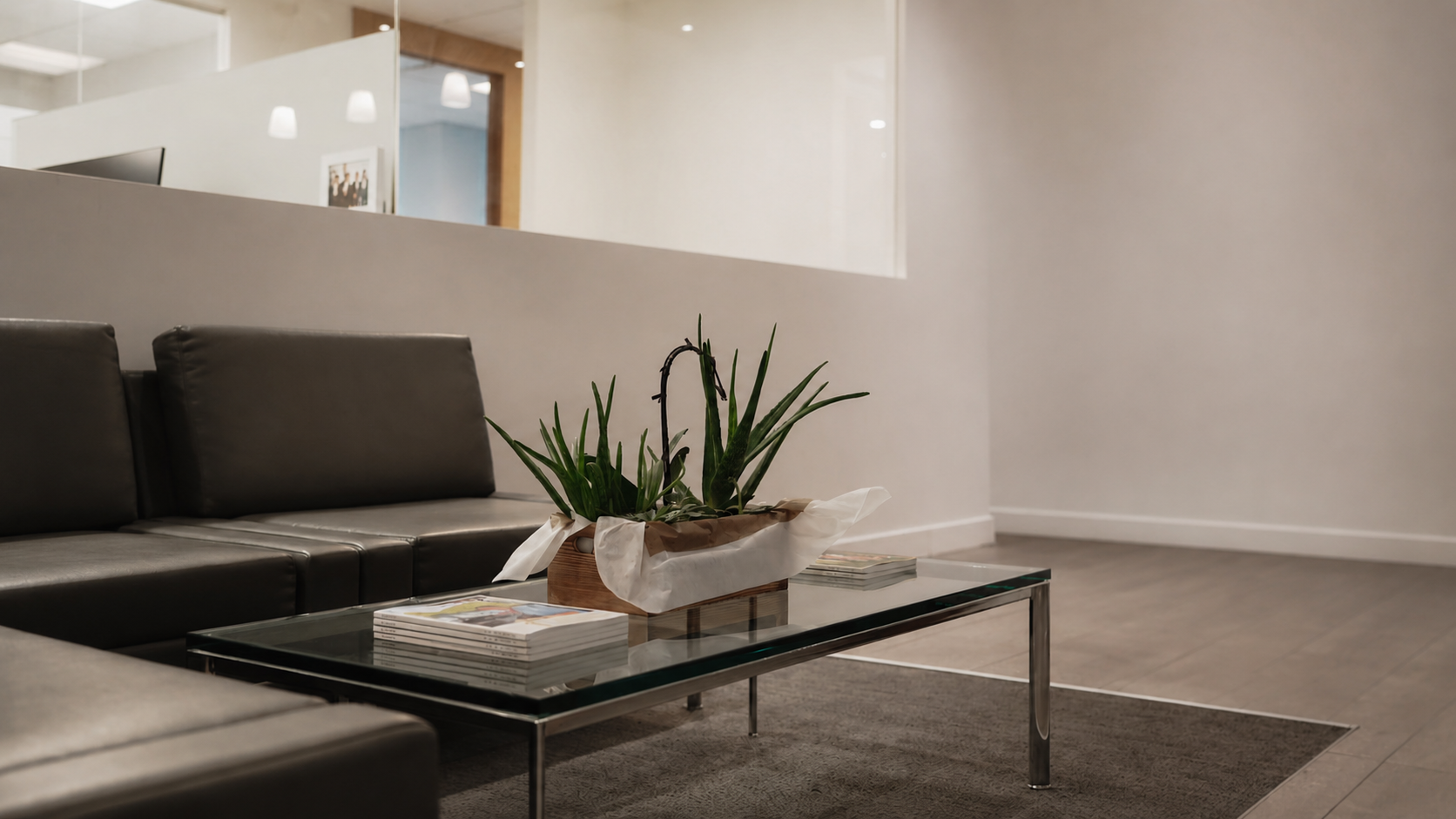 Remedios Lawyers office lounge with couch, glass coffee table, magazines, plant, and carpet